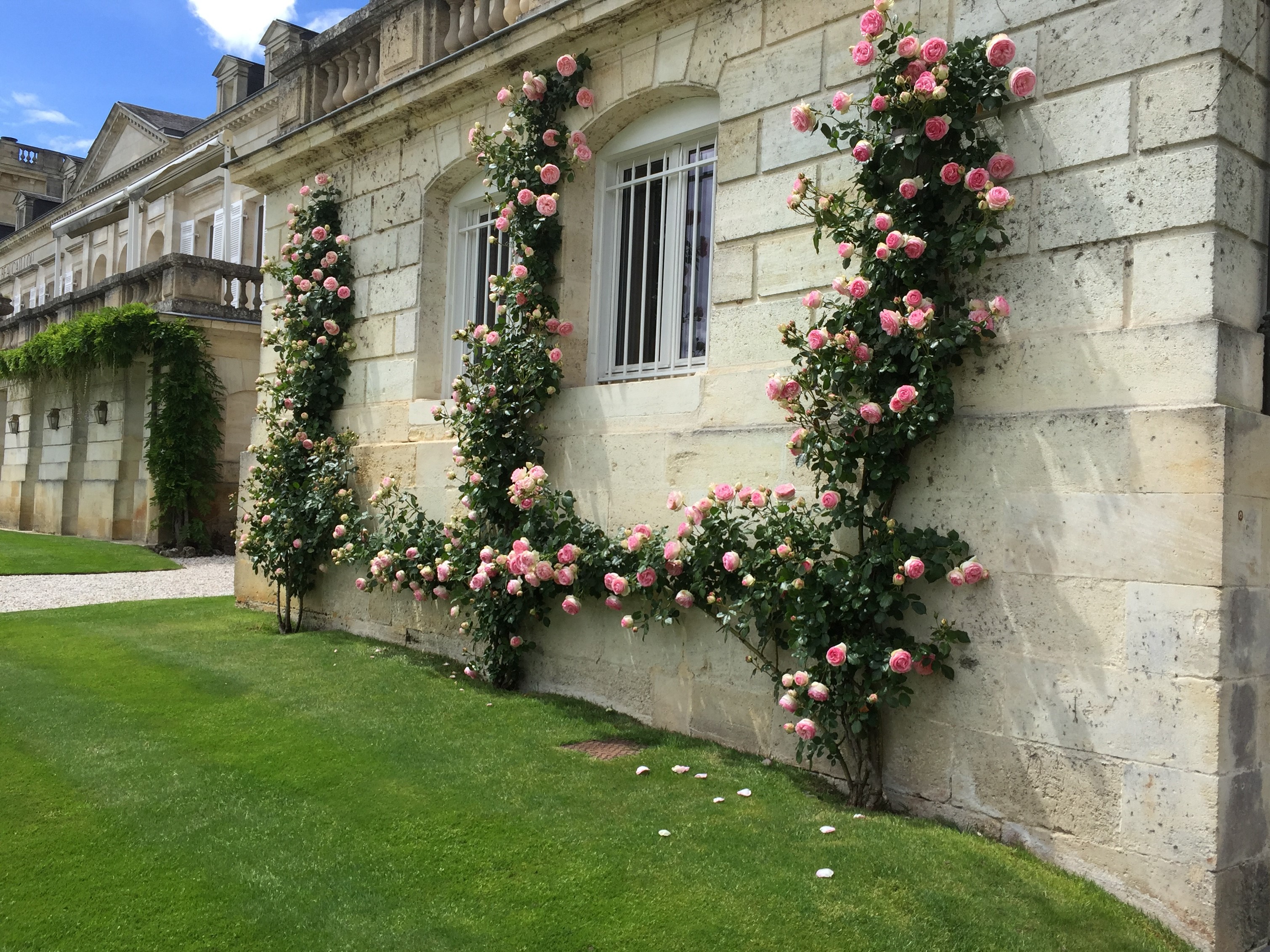 Chateau Flowers Robin Joy Realty